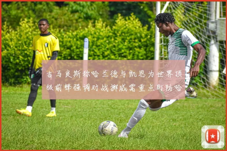 吉马良斯称哈兰德与凯恩为世界顶级前锋强调对战挪威需重点盯防哈兰德
