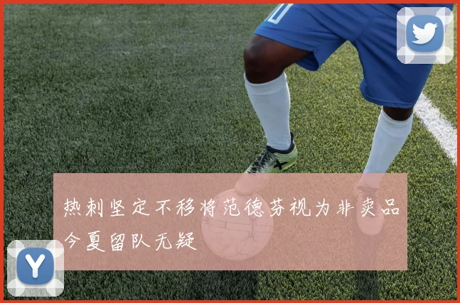 热刺坚定不移将范德芬视为非卖品今夏留队无疑