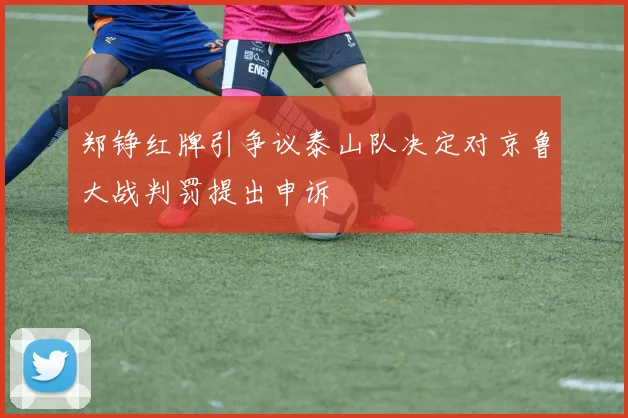 郑铮红牌引争议泰山队决定对京鲁大战判罚提出申诉